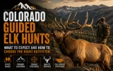 Colorado Guided Elk Hunts