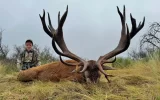 Argentina Red Stag Hunt